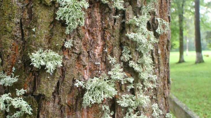 ����� 20 ����� ����� ���������� ���������� � ������