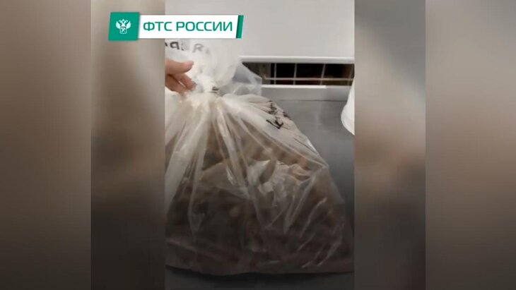 �������������� ������� �������� ����������� ��������� ����� �� 1,5 ��� ���