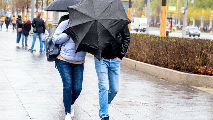 ��������������� ����� � ���������� ����� �������������� � ������ 15 ������