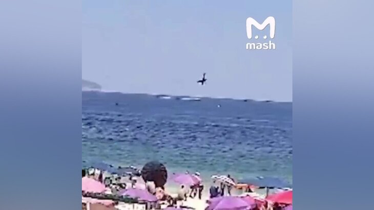 ���� ������� ����� ��� �������� �������� � ��������