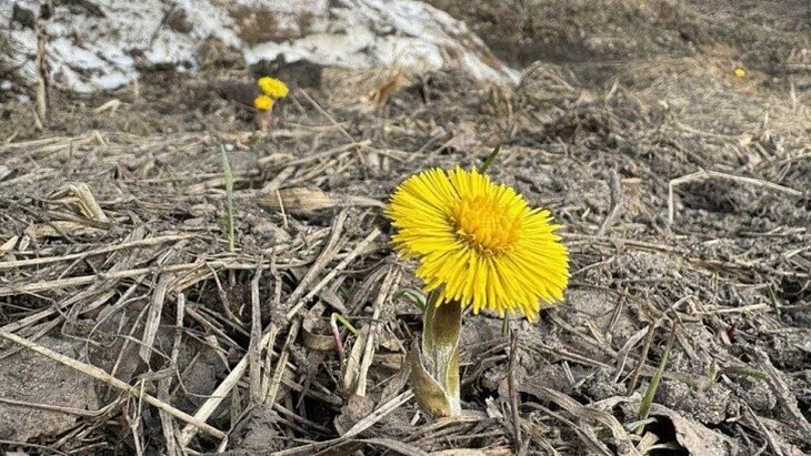 ����-�-������ ������� � ������������ ����� "������� ������"