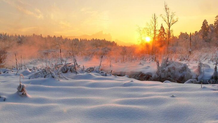 "������� ������" ������� �� �������� � �������� �������� �� ��������