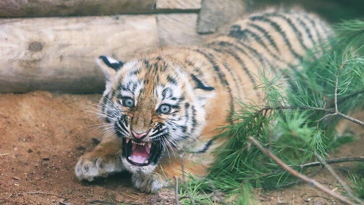 �������� ������� ����� ��� �������� ������ �� ���������� ��������