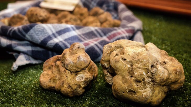 � ���������� ������� ������� ����� ����� ������ �������� �������