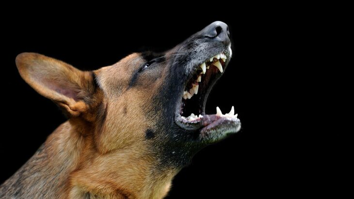 � ������ �������� ������ ���������� ������� �������� �������� � ���