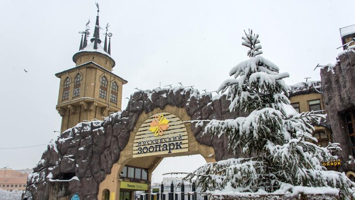 �������: ���������� ������� ��������� ������� ������������ � ������������� ��������������