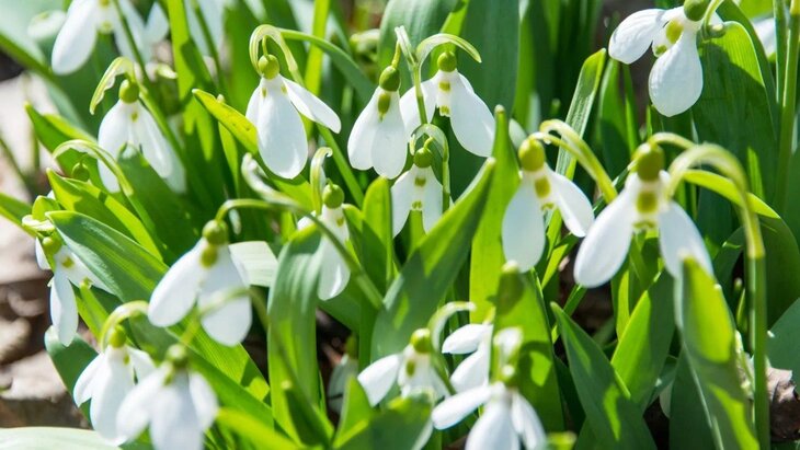 �� ������� ��� ������� ������� ����� ������� ��������� �� ���� ������������