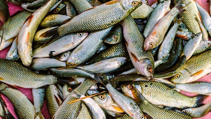 ������� ���������� ������� ���� ��������� �� ����� �������� �����������