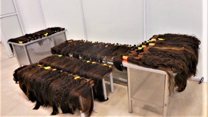 ���������� �� ��� ���������� �������� ����� 40 �� ����� � ���������