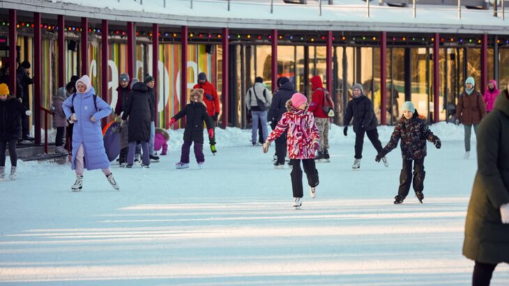 ����� � ����� �������� � "�����������" ���������