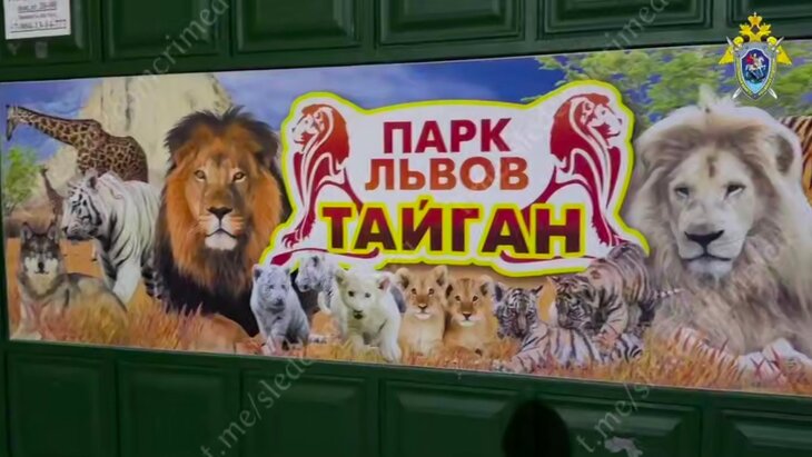 ��������� ������� �������� � ���� ������������� ��������� ��� � ����� "������"