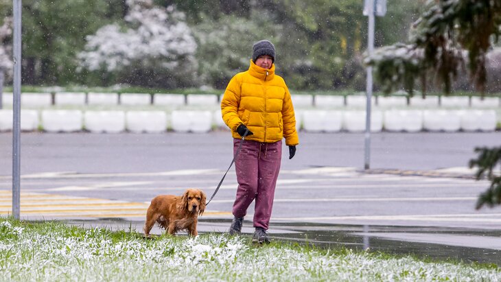 ������ ������ ���� ����� ������ � ������ � ����� ������� ������