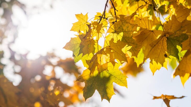 ������� ��������� �� ��������� ������������� ����� ��� ���������� �����