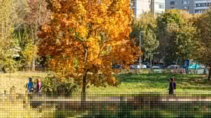 "������ ����� ����" � ������� ����� ������ � ������ � ����� ��������