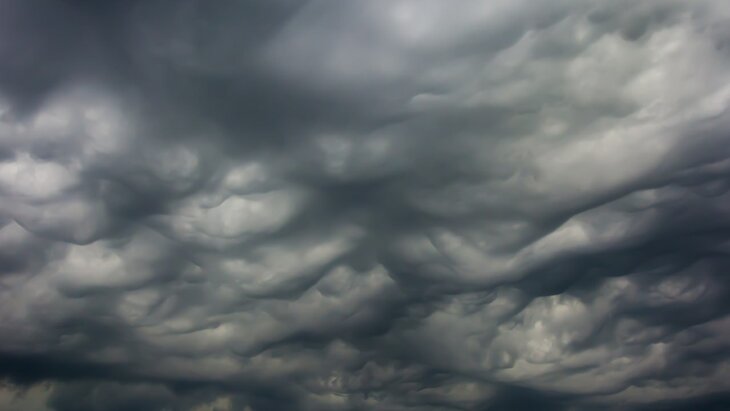 "�����������" ������ ����� ��������� ��� �������