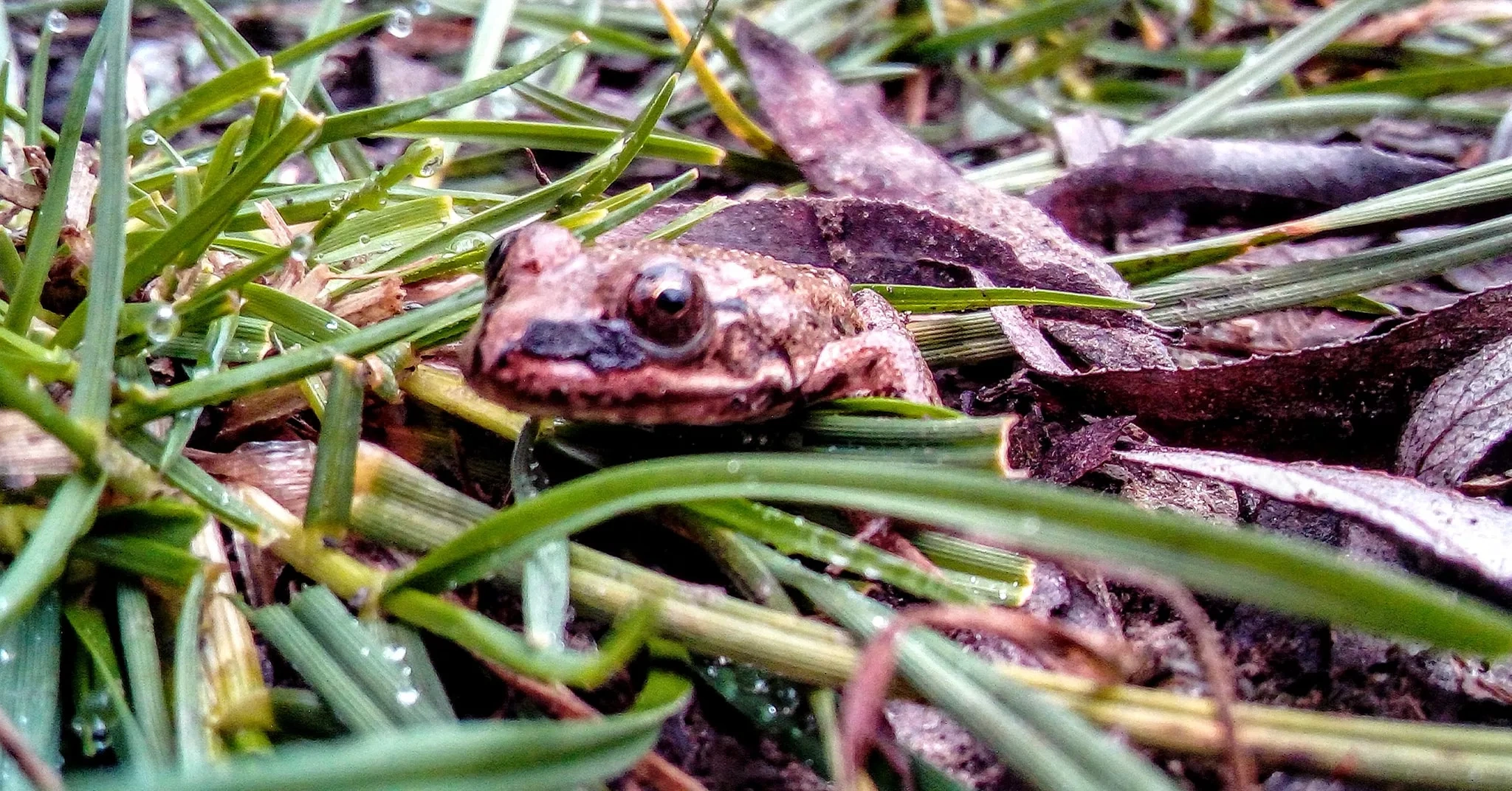 �������, ������� � ���� ������ �� ��������� ����������� ������