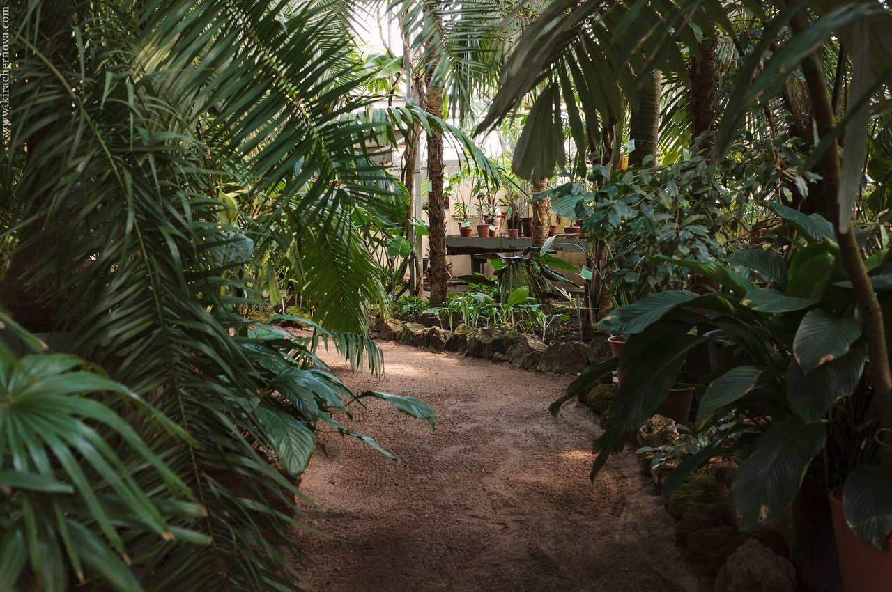 �������������� ��������� ������������� ������� ��������� 8 �����