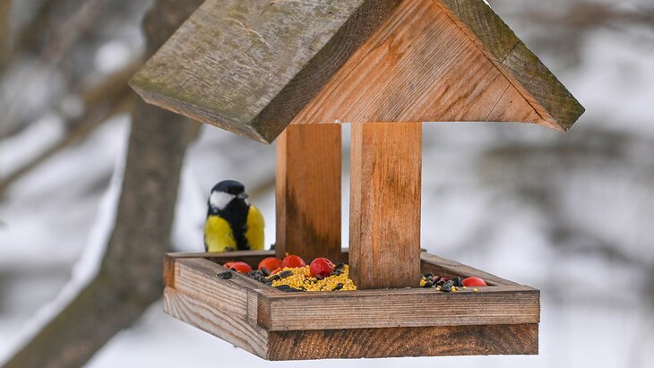 ��������� �������� ������������� ���� ����� �������� ����������