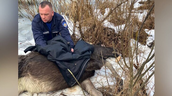 ������������ ��������� �������� �� ����� ������������� ��� ��� ���������� ������