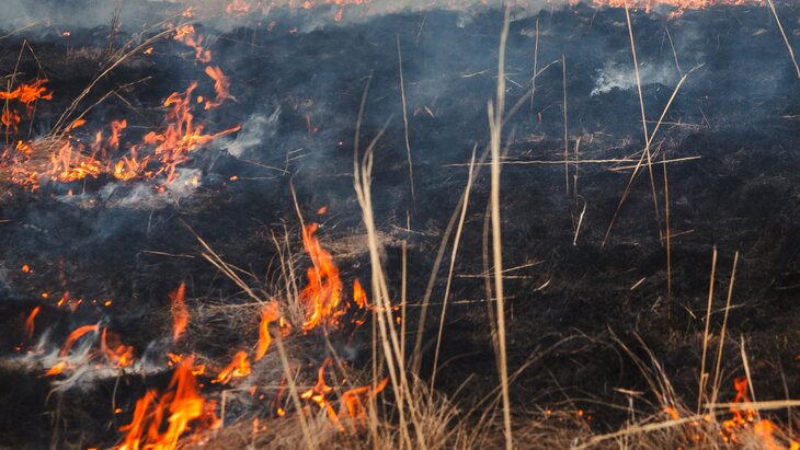 �� ��� ������� ������ ����� ������� ���������� �������� ����� 680 �� � ���