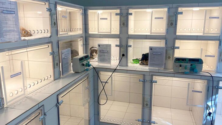 � ������ �������� ������ �������������� ��������� � ��������������