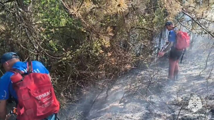 ����� ����� ���������� � �������� �� ������� 3 ��� "���������"