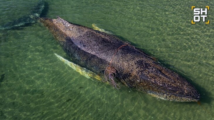 ���������� �� ���������� � �������� ��� ����� ������� ��������������