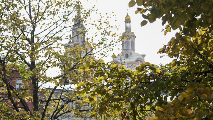 �� 14 �������� � ��������� ���������� ��������� � ������ 3 �������