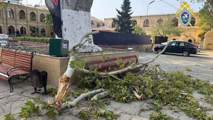 �������� ��� ������� ������ � �������� ��������� ���������� "��������"