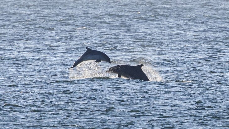 ��������� �������� � ������� ������ �������� �� �����-����������