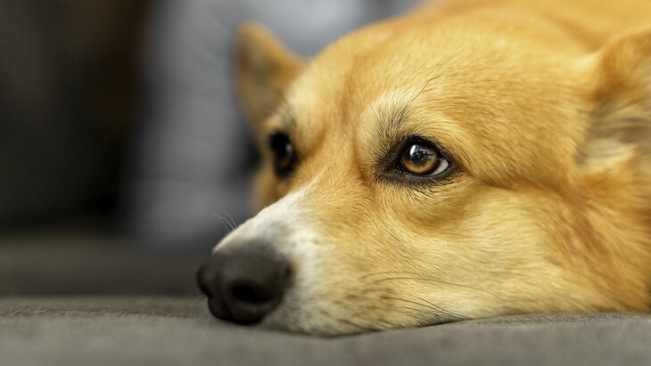 ����������� ����������, ��� ������ �������� ���������� � ������� ����������