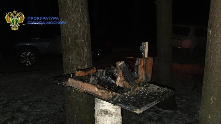 ����������� ���� �������� ��� ���� � ����������� �����������