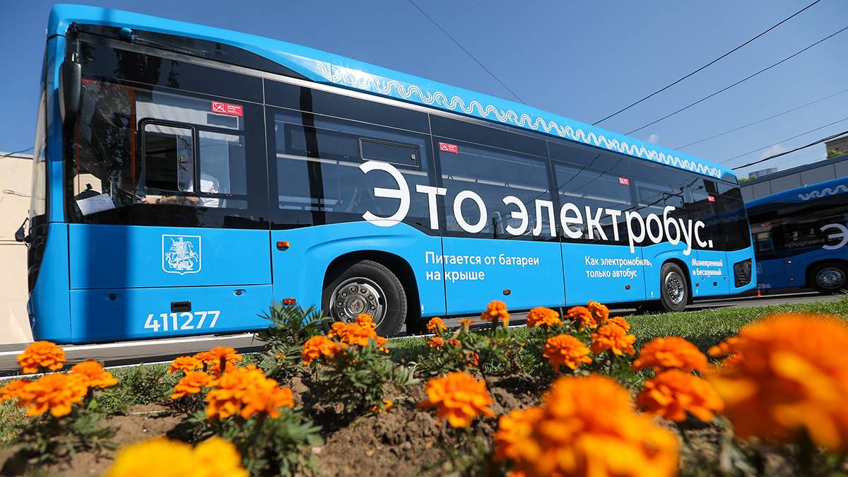 �������� ��������� ���������� � ���� ������� ������ ��������� � 12 ����