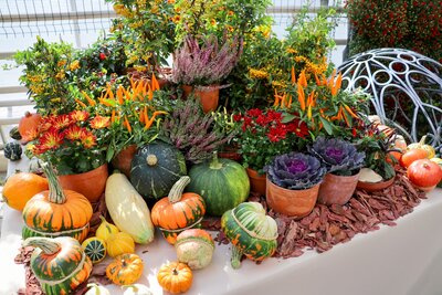 ��� ����� ����� 3 �� ���������� �� �������� ����������� ������ � ������������ �������