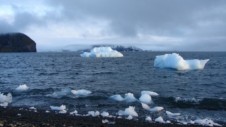 �� ����� ��������� �������, �������� �� ��������� ���������� ����������� � �����