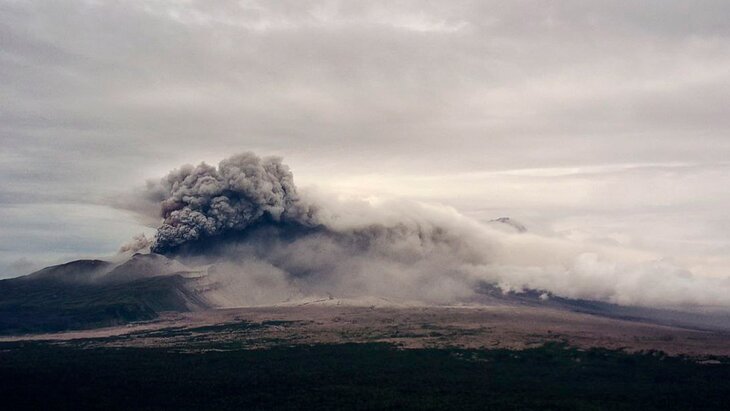 ������ ������� �� �������� �������� ����� ����� ������� 5 ��