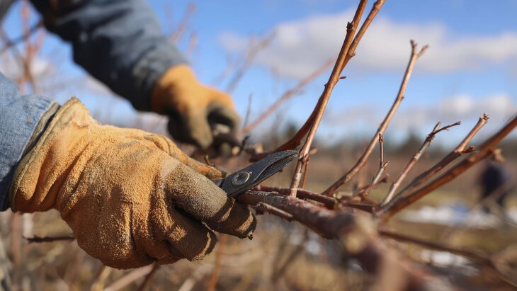 ������� ���������, ��� ����������� ������� � ��������� ������