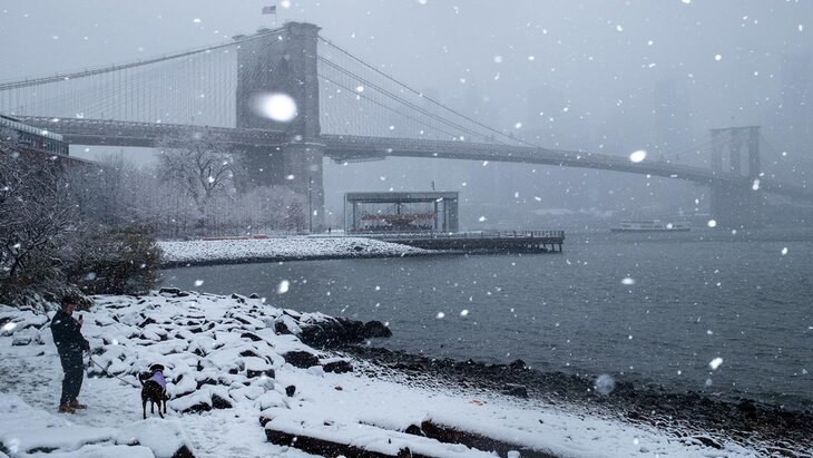 ������� 42 �������� ������� � ���������� ��������� � ���