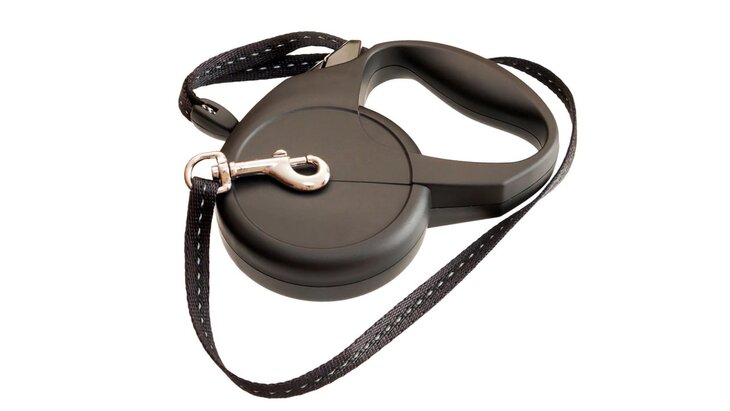 �������� ����������, ����� ����������� ����� ���� ��������� �������