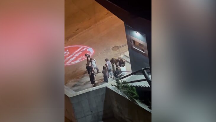 ����������� ������� �������� �� ������������