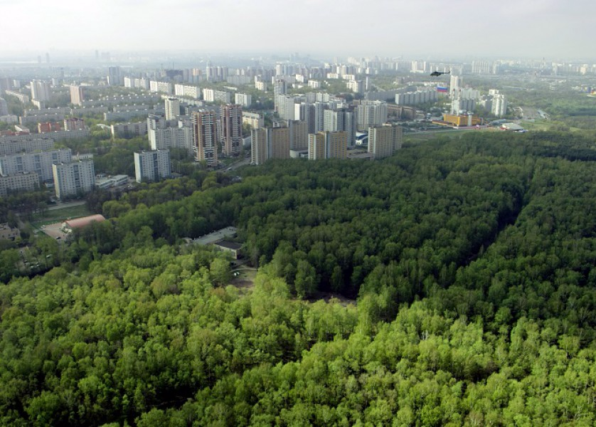 ������� ������� ������ ������������ ���� �������