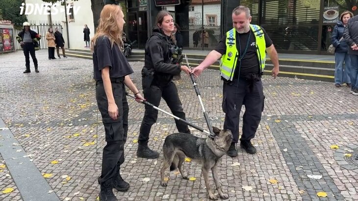 ����� ������� ��������� ������ ����� ����� �� ���� �����