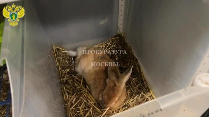 ����������� ����� ��������� � ������ �������� �������� � ������