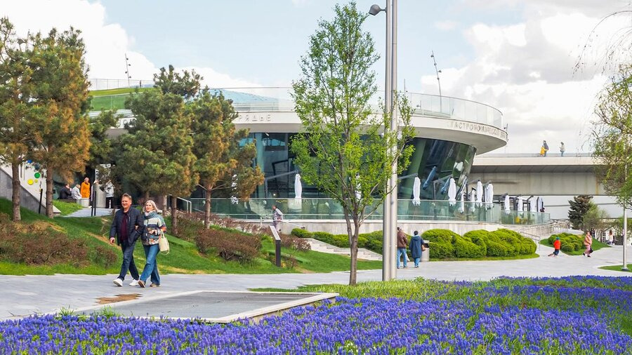 ����� 12,5 ��� ������� �������� ���� �������� � 2024 ����