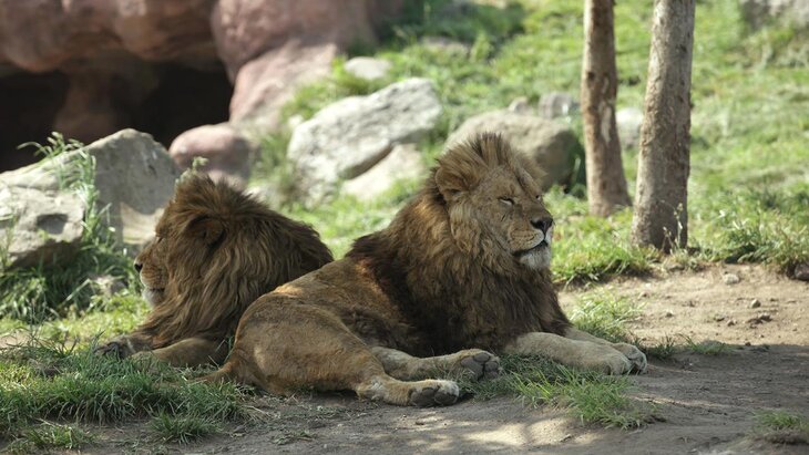 � �������� ���� ����� ������ �� ���������� �������� � ����� ���