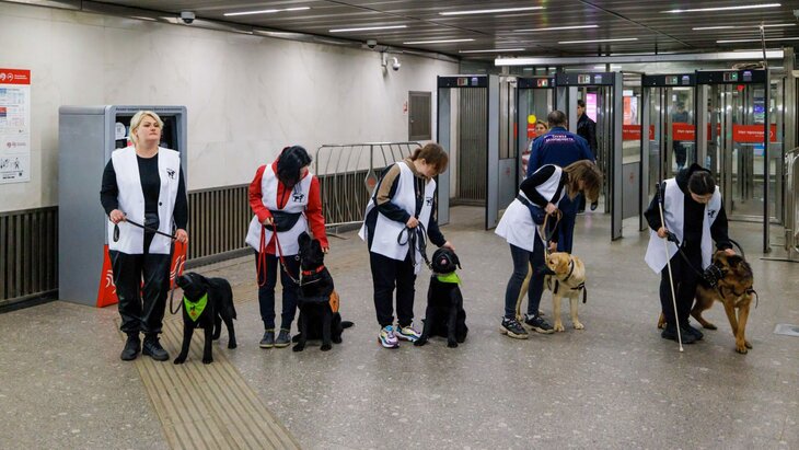 ������ � ���� ���� ������� ��� �����-����������� ������ � ��������� �����