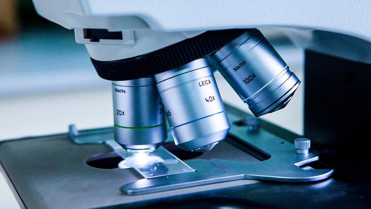 �� "�������" � "�������" ��������� ������ �������-����������� "�����������"