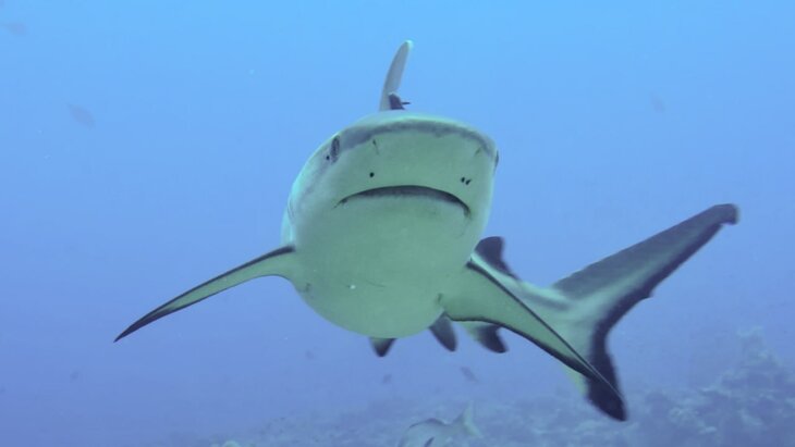 ��������� ����� ����� ������������ � ������ � ��������