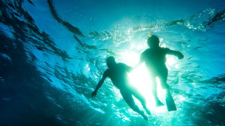 ���� ���������� �������� ������� �� ����������