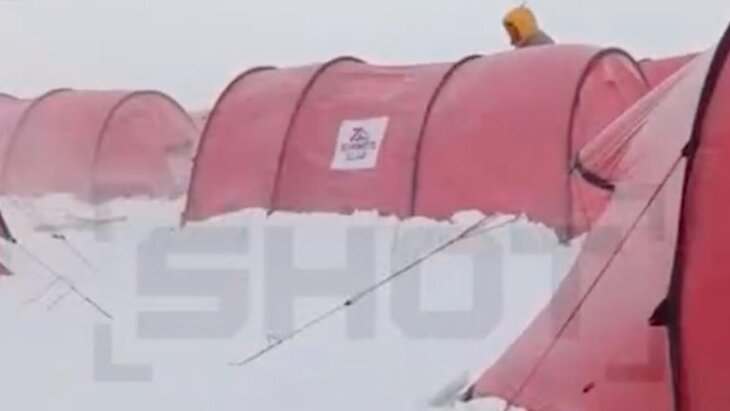 ���������� ���������� �������� �� ������ ������� ����� � ���������� � ���